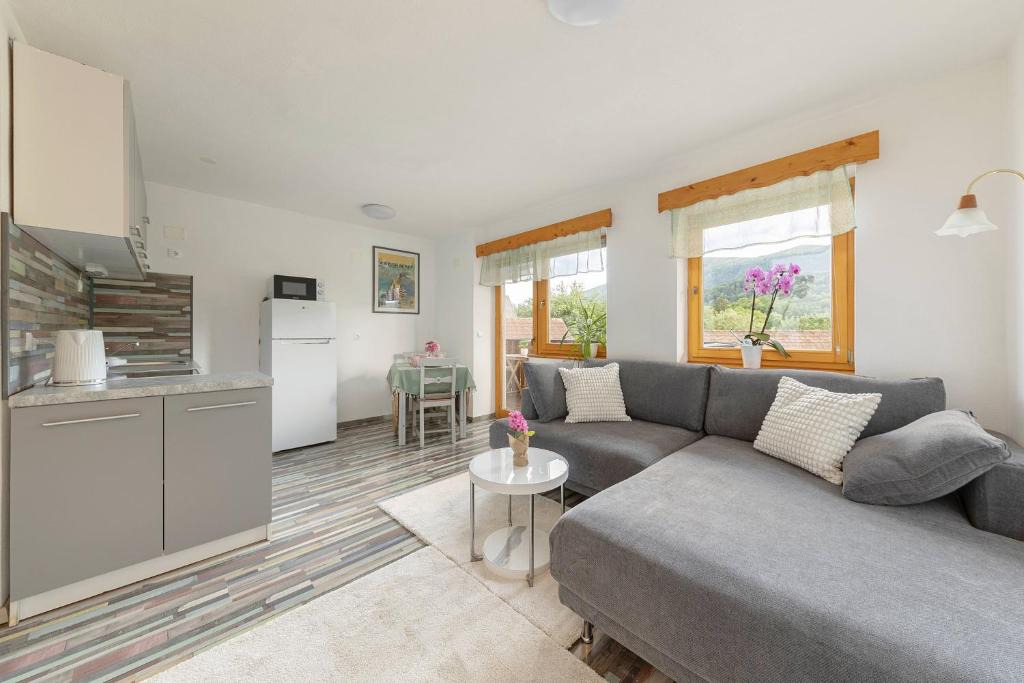 Radovljica Apartment | 3 Rivers Apartment