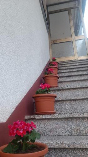 Zaga Apartment | Apartma Zora