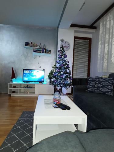 Pale Apartment | Apartman 19