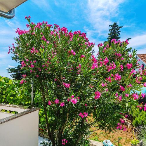 Omisalj Apartment | Apartman Hana