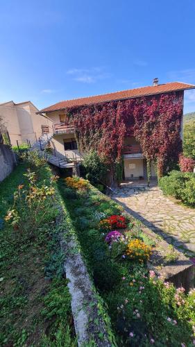 Cove Parja House | Apartman Nada Žunić