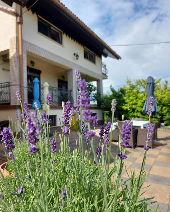 Cvetkovic Apartment | Apartman Nada