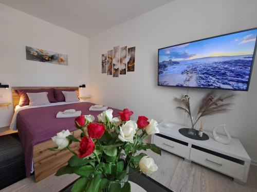 Srebreno Apartment | Apartman Studio Nicky