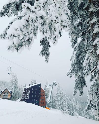 Jahorina Apartment | Apartmani Dvosjed