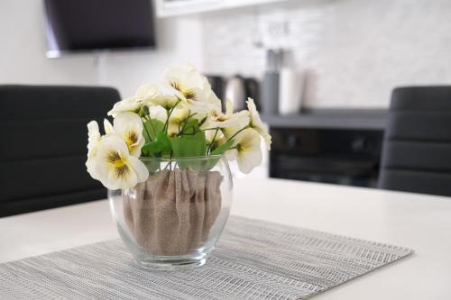 Posedarje Apartment | Apartmani Klara