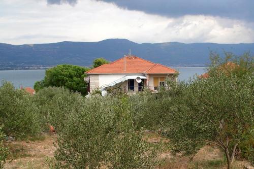 Businci Apartment | Apartment Arbanija 9423a