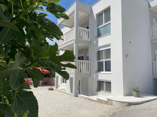 Seget Vranjica Apartment | Apartment Babic