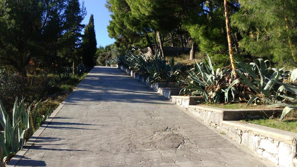 Split Apartment | Apartment Bella