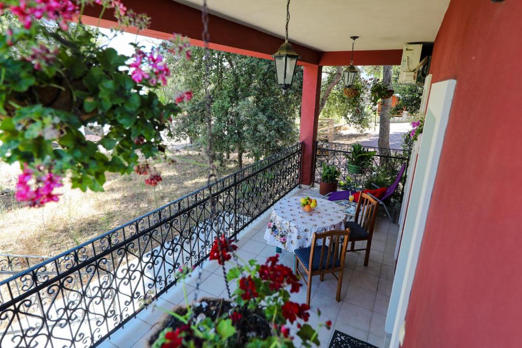 Petrcane Apartment | Apartment Corto