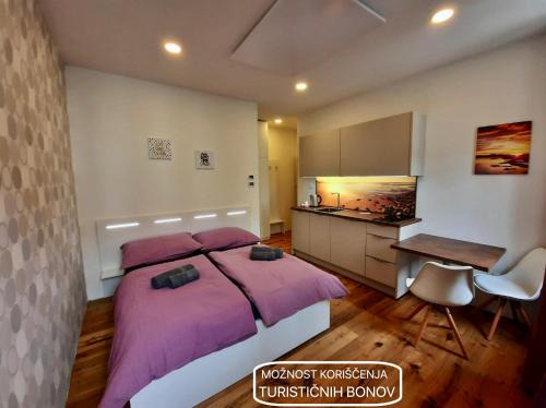 Ljubljana City Centre Apartment | Apartment Gold