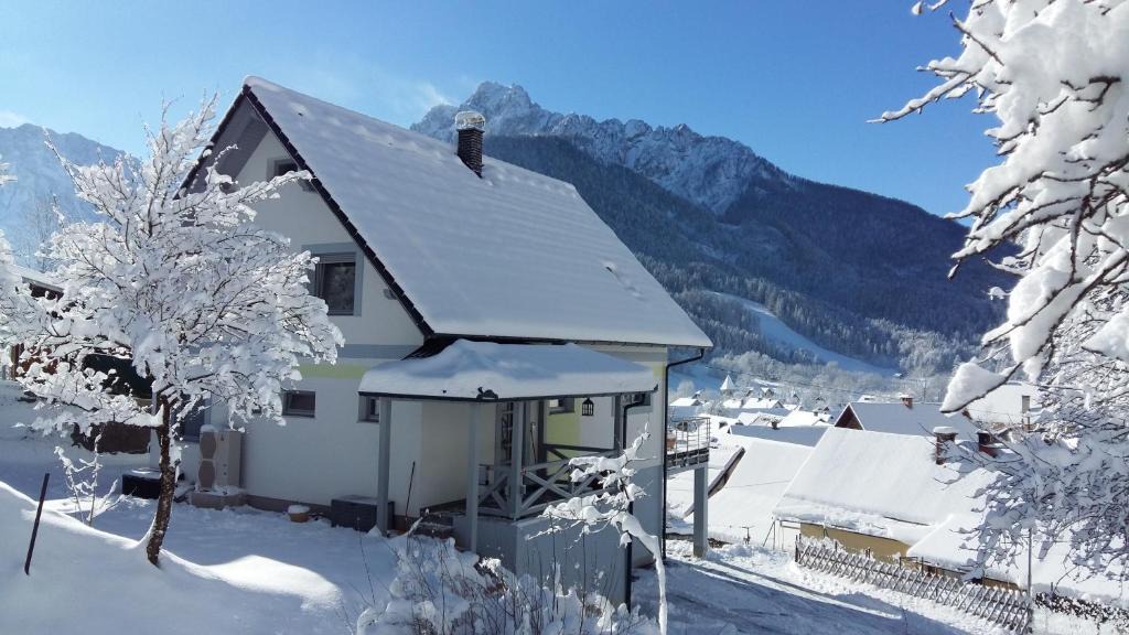Ratece Apartment | Apartment Leposa