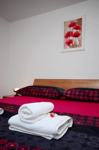 Split Apartment | Apartment Mia