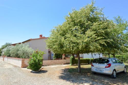 Galizana Apartment | Apartment Mit- Mir