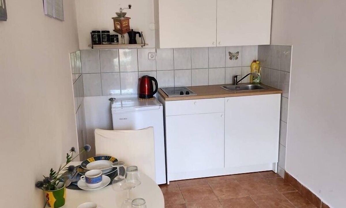 Milcetici Apartment | Apartment Pape Studio no. 1 * with terrace