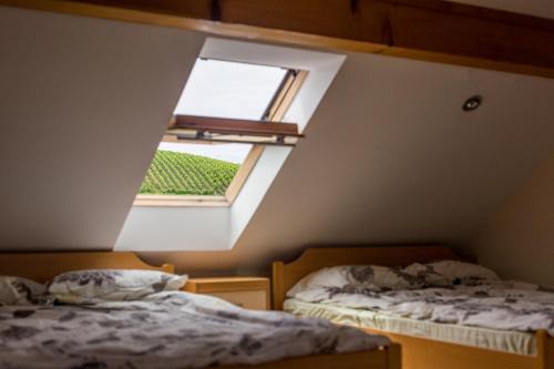 Podcetrtek Apartment | Apartment Velbana Gorca