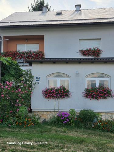 Korenica Apartment | Apartments Žegarac House