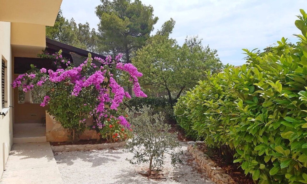 Cove Osibova (Milna) Apartment | Apartments Deni, (15600), Osibova, hr