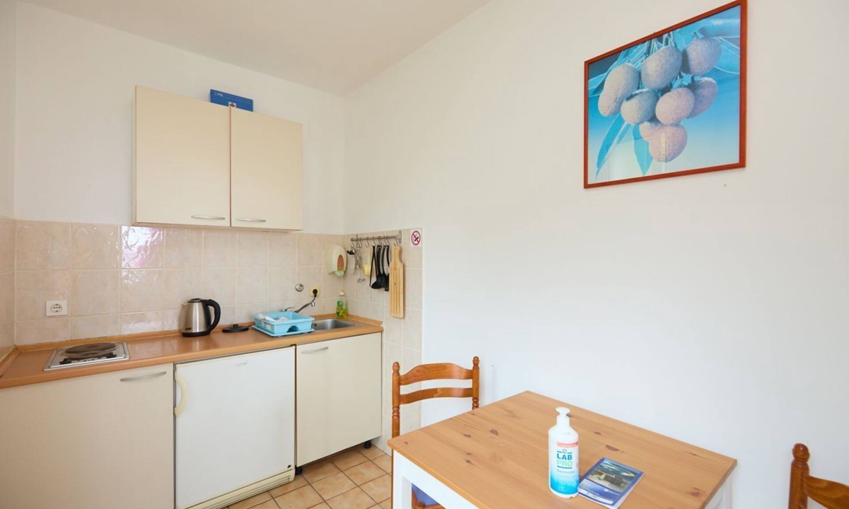 Kobas Apartment | Apartments Jany (116061-A3) - Saplunara