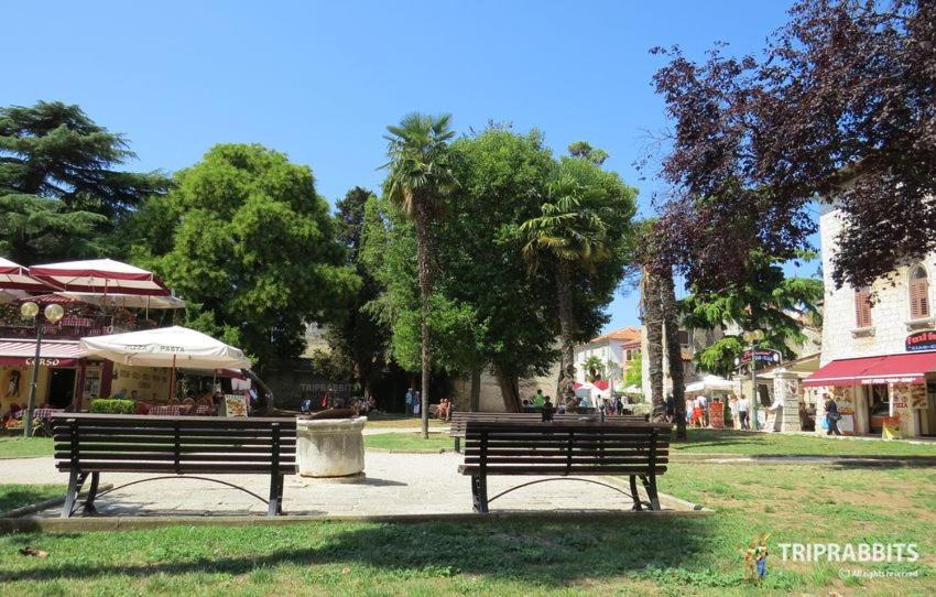 City Center Apartment | Apartments Old Town
