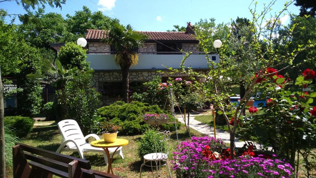 Murine Apartment | Apartments Rale