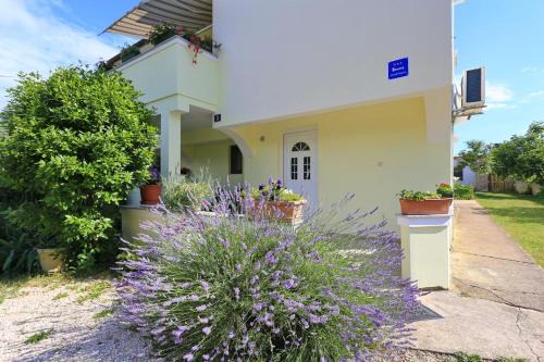 Zaton Apartment | Apartments Romansa