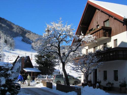 Kranjska Gora Apartment | Apartments & Rooms Smučka