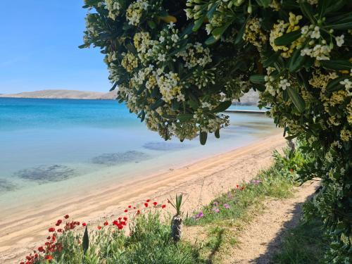 Vlasici Apartment | Apartments Simurina