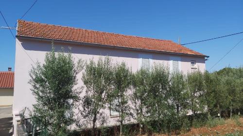 Susica Apartment | Apartments Tomas