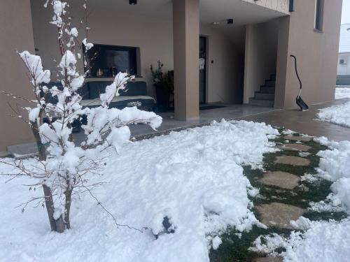 Hajdina Apartment | Apartments Wally