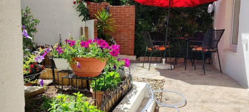 Vranjic Apartment | Apartments with parking space Split - 23350