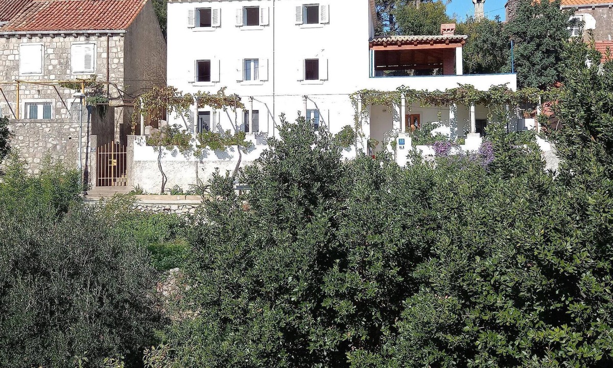 Kolocep Island Apartment | Charming island apartment+garden,70m from sandy beach and restaurant, free WI-FI