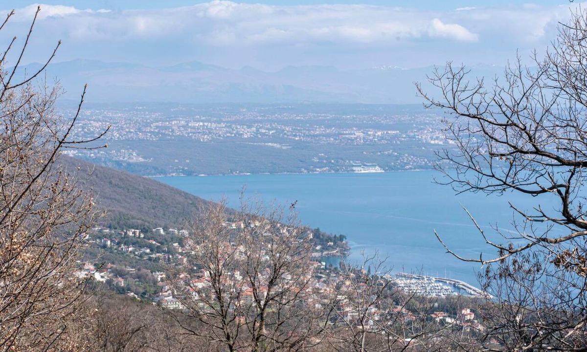 Opatija Apartment | Cosy apartment for 2 people with A/C, WIFI, TV, terrace and pets allowed