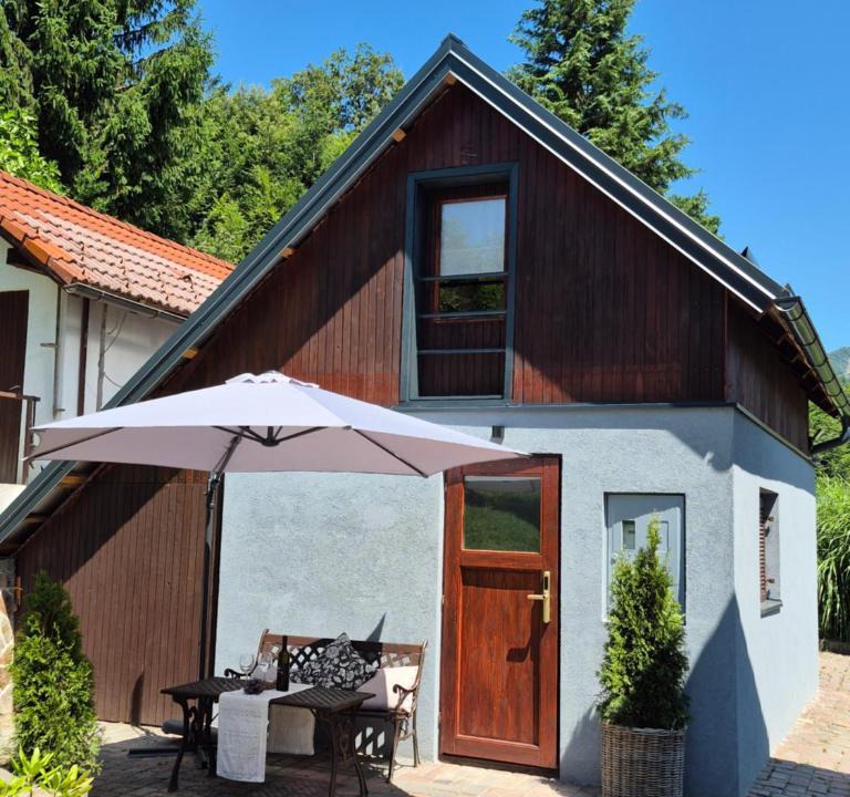 Vidrga House | Cozy Cabin with Private Sauna 20 min to Ljubljana