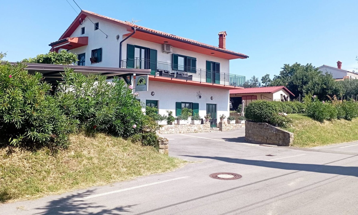 Piran Apartment | Discover nature's symphony, taste our own produced organic olive oil and wine.