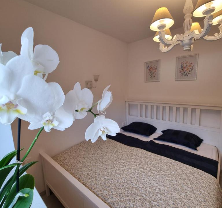 Hrastnik Apartment | Domačija Rajsko srce
