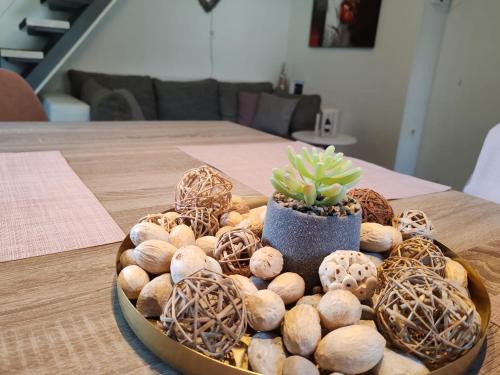 Terme Catez Apartment | EMIA Family House Čatež