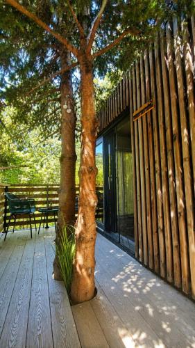 Kambresko Other | Forest Eco Cabin