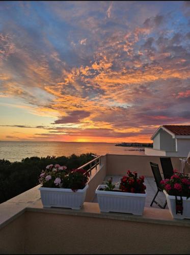 Povljana House | Guesthouse Maro