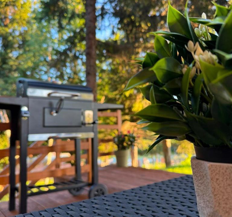 Sokolac House | Hidden pines
