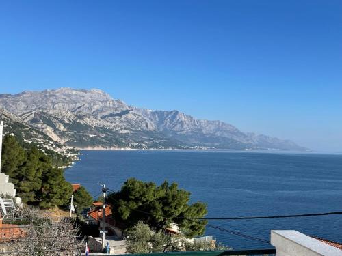 Marusici Hostel | Hostel & Private Rooms Dalmatia