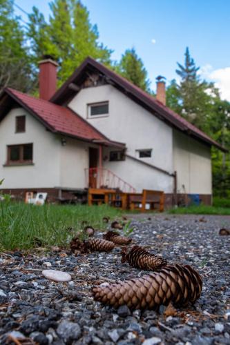 Hocko Pohorje Ski Chalet | House Angelca