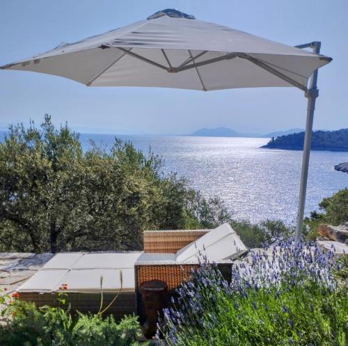 Vela Luka House | House on Punta