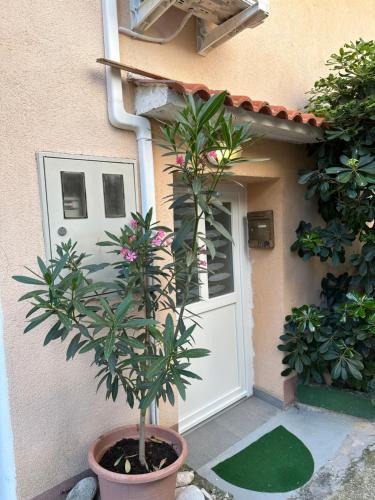 Draga Bascanska Apartment | Jasmina-Room