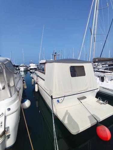 Izola Boat Rental | Jeddah