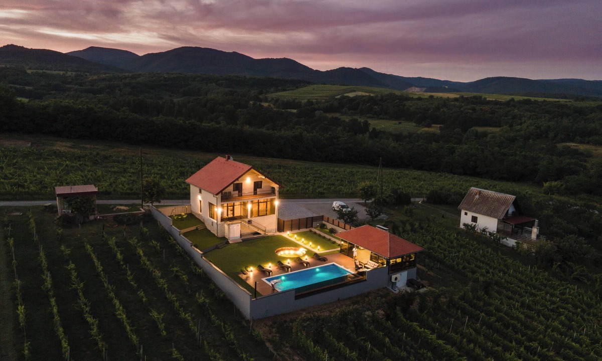 Velika Villa | Luxury villa with jacuzzi, sauna and pool surrounded by vineyards