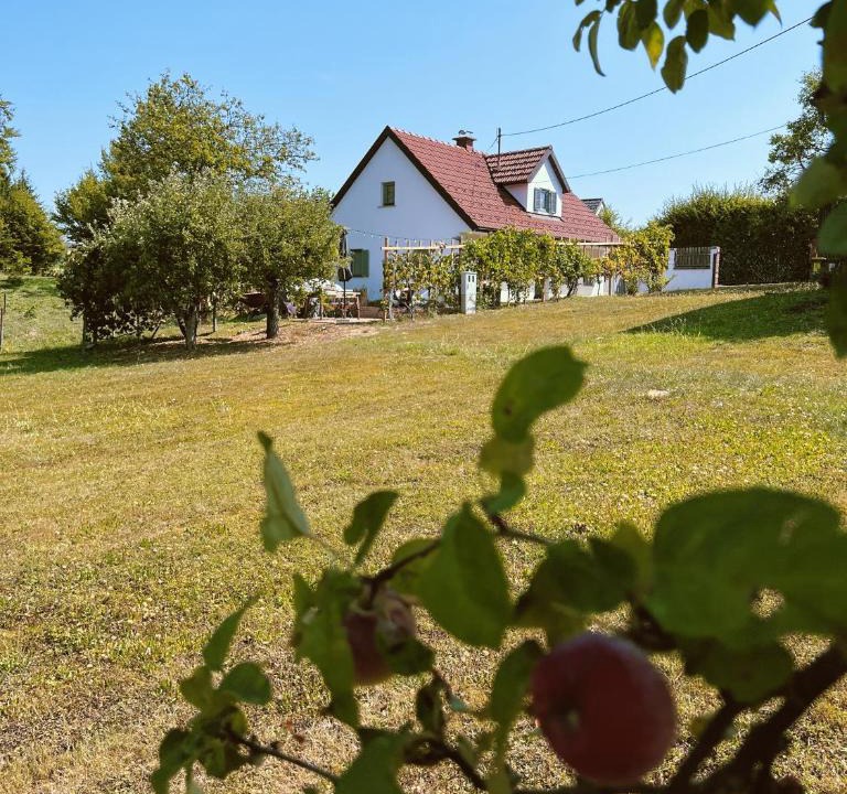 Rogaska Slatina House | Maria's Orchard Cottage - Nature Retreat in Slovenia