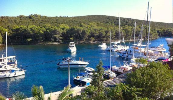 Molat Apartment | Molat Bay View