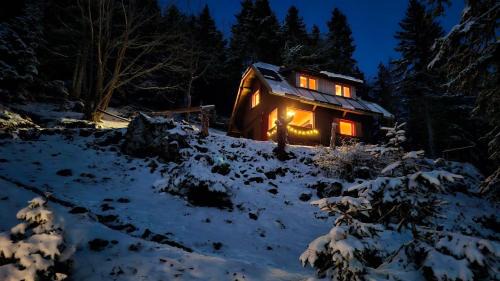 Trzic House | Mountain Cabin on Dobrča - Alpine Views -Foot Access Only
