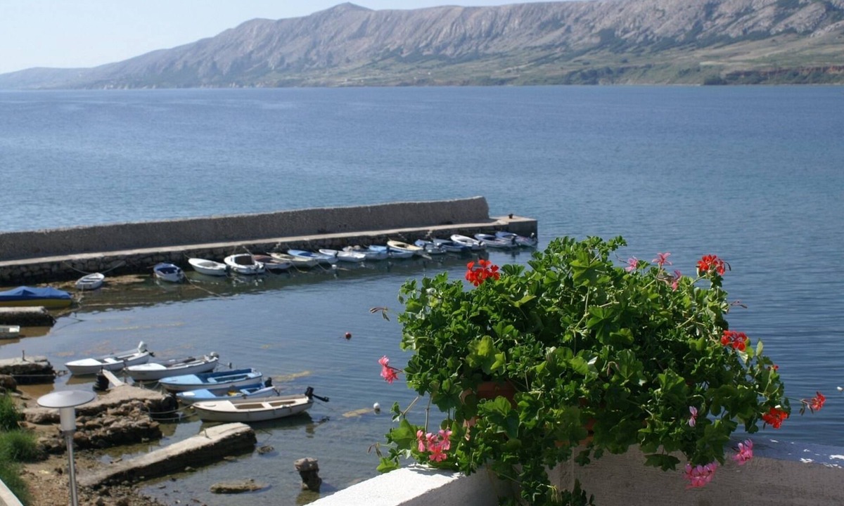 Kustici Apartment | One bedroom apartment with terrace Zubovići, Pag (A-4130-d)