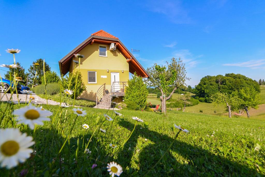 Brezice Apartment | Peaceful Family Apartments near Terme Čatež
